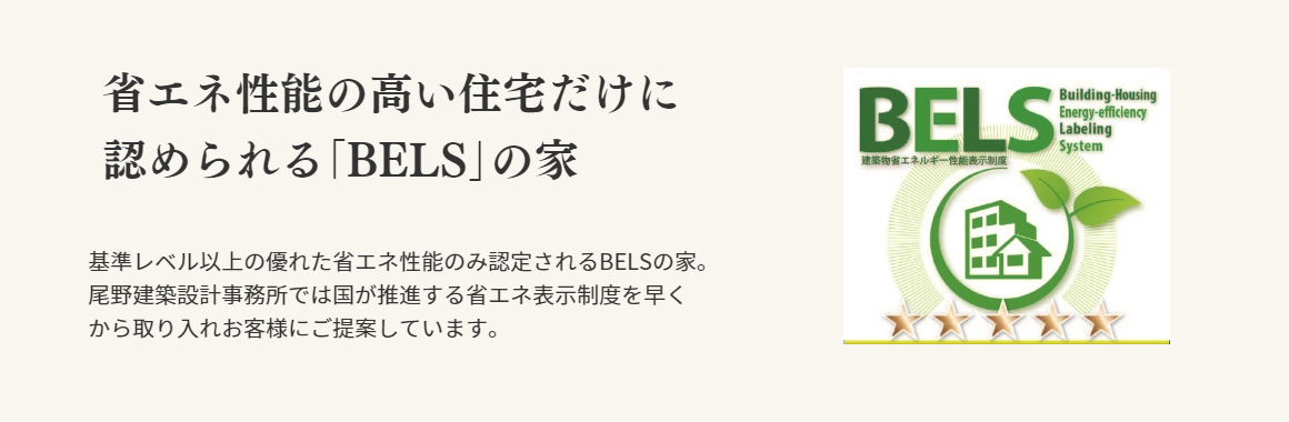 BELSの取り組み